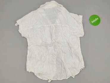 koszula artur: Looney Tunes, Koszula damska, rozmiar 2XL — 3