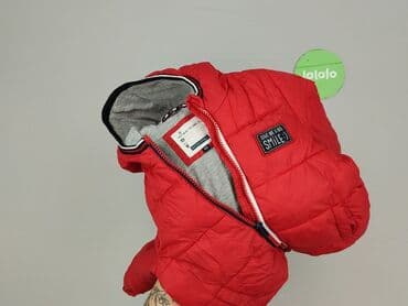 kurtka babylon: Kurtka, Baby club, 9-12 miesięcy, stan - Bardzo dobry — 6