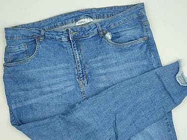 spodnie hello kitty olx: Janina, Jeansy damskie, rozmiar 4XL — 1