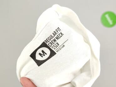 ubrania pitbull allegro: T-shirt for men, size M — 4