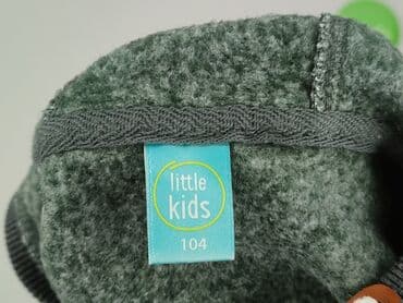 podkoszulki allegro: Sweatshirt, Little kids, 3-4 years, 98-104 cm, condition - Very good — 4