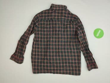 t shirty zebra: Zara, Women`s shirt, size S (EU 36) — 3