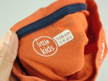 koszula z aplikacjami: Bluza, Little kids, 5-6 lat, 110-116 cm, stan - Idealny — 4