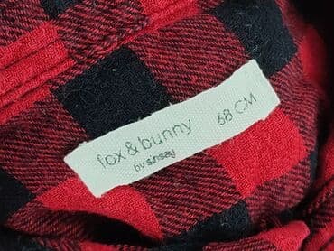 koszulka abercrombie: Kaftan, Fox&Bunny, 3-6 months, condition - Perfect — 4