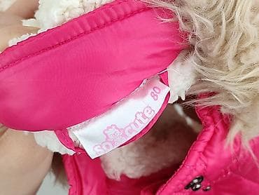 bluzy converse: Kurtka, So cute, 9-12 miesięcy, stan - Bardzo dobry — 5
