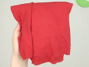 koszulki z napisami allegro: Sweatshirt, Palomino, 2-3 years, 92-98 cm, condition - Very good — 6