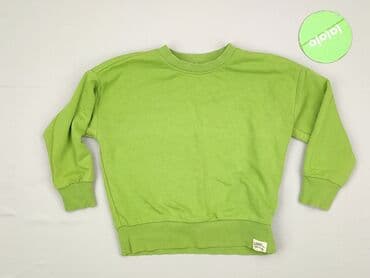 czapka ursus c 360: Bluza, Sinsay, 3-4 lat, 98-104 cm, stan - Idealny — 2