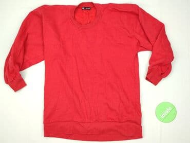 Women's Clothing: Zara, Women`s sweatshirt, size S (EU 36) — 2