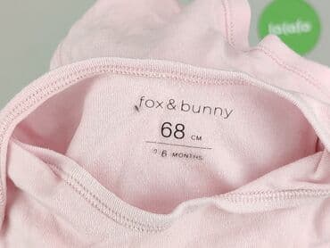 Body: Body, Fox&Bunny, 3-6 miesięcy, 
stan - Bardzo dobry — 4