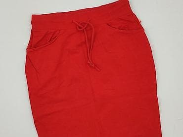 spódnice wysoki stan: Diverse, Spódnica damska, rozmiar L — 1