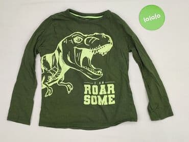 lidl podkoszulki dziewczęce: Sweatshirt, Little kids, 9 years, 128-134 cm, condition - Very good — 2