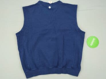 bluza cool: Męska kamizelka/bezrękawnik adidas - Model: klasyczny bezrękawnik z — 3