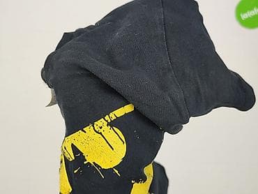smyk batman: DC COMICS - BATMAN, T-shirt damski, rozmiar M — 5