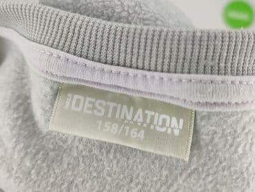 koszulka travis scott: Sweater, Destination, 14 years, 158-164 cm, condition - Very good — 4