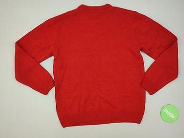 paramour sweter: TEX, Sweter dla mężczyzn, rozmiar L — 3