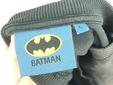 спортивний костюм чоловічий польща: Светр, L, Batman, стан - Хороший — 4