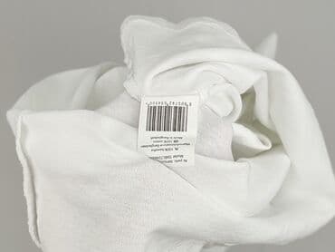 t shirty jamnik: Cleve, T-shirt damski, rozmiar L — 5