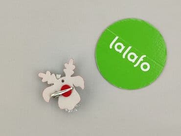 h: Hair clip, Female, condition - Perfect — 3