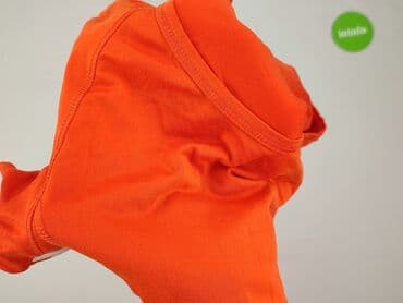 siatkarska koszulka reprezentacji polski: Adidas, T-shirt damski, rozmiar L — 5