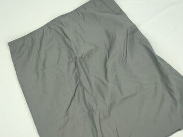 lidl spódnice plisowane: Women`s skirt, size L (EU 40) — 1