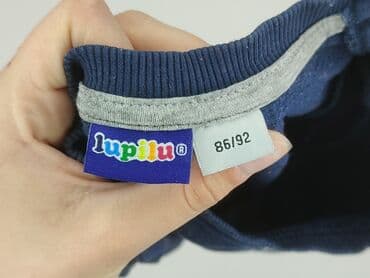 kombinezon name it softshell: Sweatshirt, Lupilu, 1.5-2 years, 86-92 cm, condition - Very good — 4