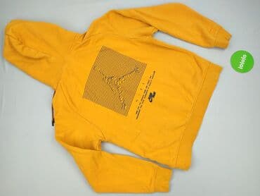 koszulka koszykarska z nadrukiem: Jordan, Bluza z kapturem dla mężczyzn, S — 3