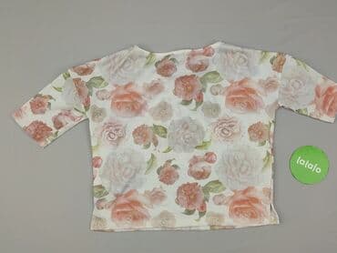 forward observations group t shirty: Terranova, Women`s T-shirt, size S (EU 36) — 3