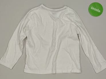koszulka wilk i zając: Blouse, Rebel, 9 years, 128-134 cm, condition - Very good — 3