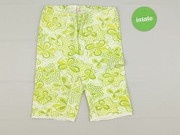 spodenki reprezentacji polski: Conta, Legginsy Krótkie damskie, rozmiar 4XL — 2