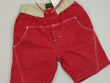 rajstopy z napisem: Shorts, 9-12 months, condition - Perfect — 1