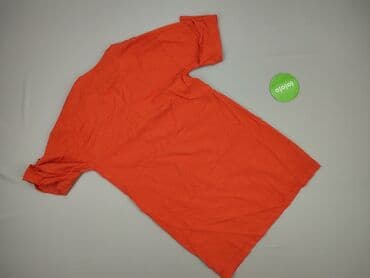 sukienki pomarańczowa na wesele: Warehouse, Sukienka damska, rozmiar S — 3