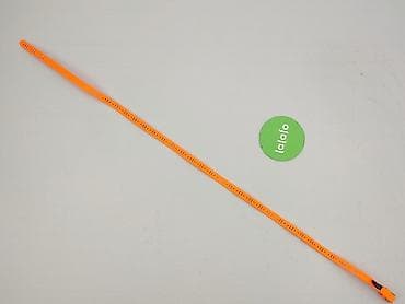 smycz dla chomika: Pasek, Damskie, stan - Idealny — 2