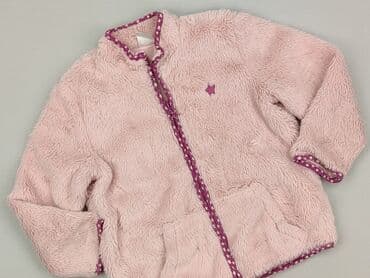 hollister bluzki: Bluza, Little kids, 4-5 lat, 104-110 cm, stan - Idealny — 1