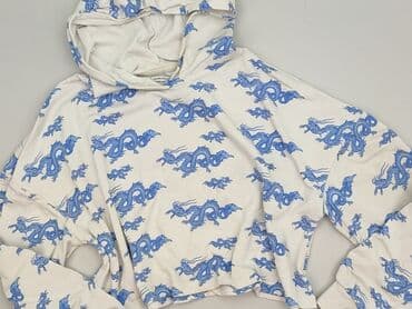 white widow bluzy: House, Bluza z kapturem damska, rozmiar L — 2