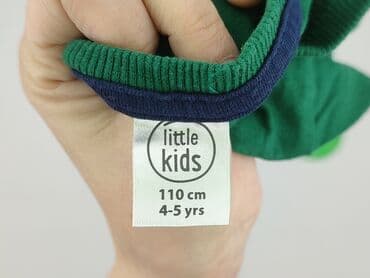 koszulka jeremy sochan: Bluza, Little kids, 4-5 lat, 104-110 cm, stan - Bardzo dobry — 4
