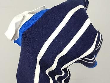 diverse swetry: NEXT Petite, Sweter damski, rozmiar M — 6