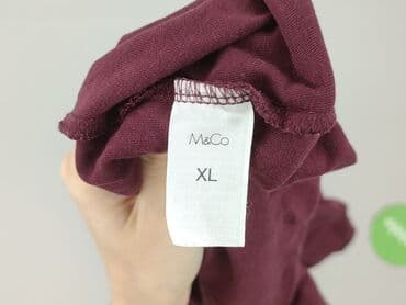 koszula w zielone paski zara: M&Co, Koszulka polo dla mężczyzn, XL — 8