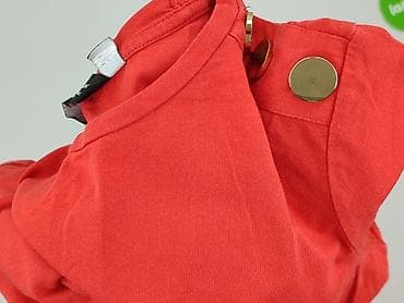 forward observations group t shirty: Dorothy Perkins, T-shirt damski, rozmiar M — 6