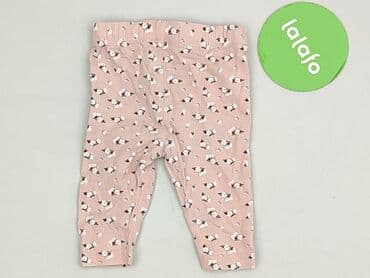 rajstopy z napisami: Leggings, Fox&Bunny, 3-6 months, condition - Perfect — 3