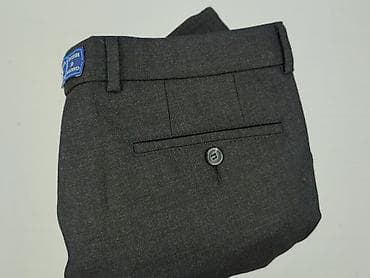 Mens: Spodnie męskie Atelier Gardeur – model garniturowy - Kolor — 6