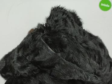 smog kurtka: Futro, rozmiar 2XL — 6