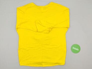 bluza z misiami: Bluzka damska, 4XL — 3