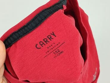 lidl sukienki dla dziewczynek: Blouse, Carry, 12 years, 146-152 cm, condition - Very good — 4