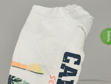 pull and bear cargo: ALPHAR ONE, Koszulka dla mężczyzn, rozmiar XL — 7