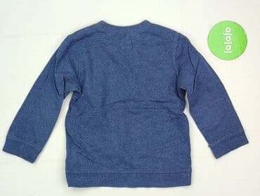 podkoszulki 3d allegro: Світшот, 3-4 р., 98-104 см, стан - Дуже гарний — 3
