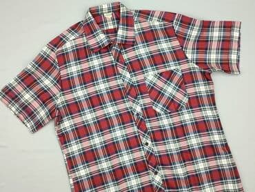 koszulka z kotem 3d: Shirt 14 years, condition - Perfect, pattern - Cell, color - Red — 1