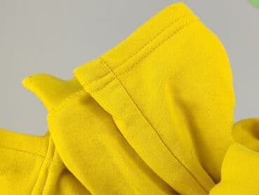 reserved koszulka z jamnikiem: Amisu, Bluza damska
, XS — 7