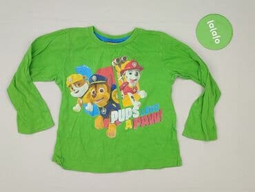f f tshirt: Sweatshirt, Nickelodeon, 5-6 years, 110-116 cm, condition - Very good — 2