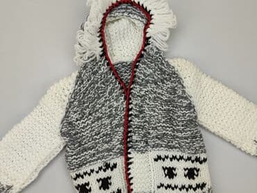wojcik rajstopy: Sweater, 3-4 years, 98-104 cm, condition - Good — 1