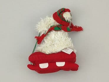 numer koszulki lewandowskiego: Mascot condition - Good — 2